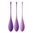 Geishakuulat FFH Kegel Train-Her Set - Geishakuulat - 603912752144 - 1