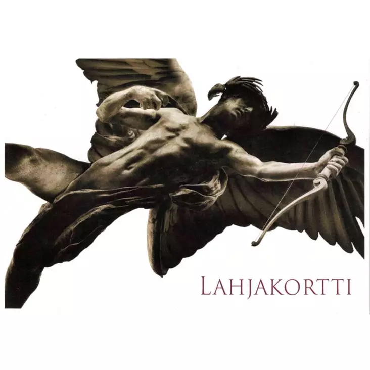 Lahjakortti 100 € - Seksitarvikkeet ja sisustus - 309005 - 1