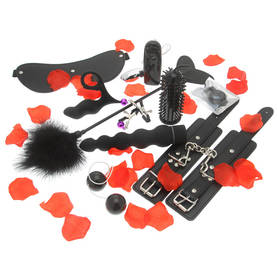 Joy Lovetoy Starter Kit - Seksitarvikkeet ja sisustus - 8713221417978 - 2